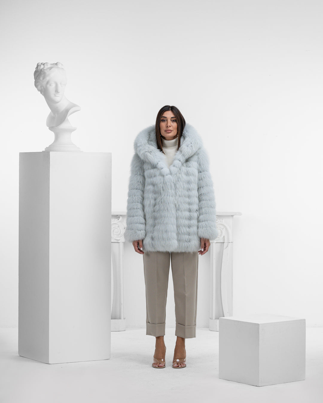 ANGELA - VOLPE ARTIC